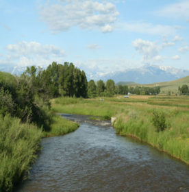 bozeman